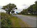 Lay By on the A50 near Lymm in WA16 0SG