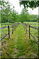 Path from Harpsden Bottom in RG9 4UJ