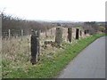 Posts alongside Mark's Lane, West Rainton in DH4 6PW