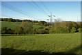 Field and pylon near Strangers Hill Farm in EX13 7JF