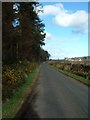 Rural Lane in spring in PH13 9PL
