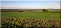 Field and view from Membury Road in EX13 7JF