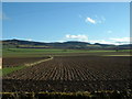 Perthshire Fieldscape in PH13 9PN