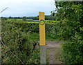 Footpath marker along Green Lane in CV13 0DQ
