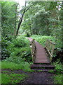 Footbridge onto the boardwalk path in MK45 5BU