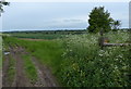 Track and footpath to Tivey's Farm in CV13 0BT