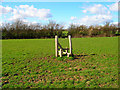 Lonely Stile near Rock Harbour Farm in BN27 4DZ