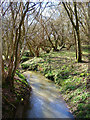 Stream, Westenden Wood in BN27 4DZ