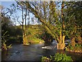River Yarty at Waterhouse Lane in EX13 7TH