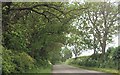 Wooded area by Black Springs on Croxby Road in Thoresway