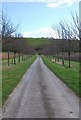 Lane behind Manor Farm in SP3 5DH