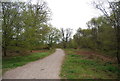 Track in Cobham Wood in ME2 3UB