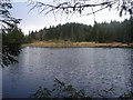 Lochan in forestry northeast of Oban and northwest of Glencruitten summit in PA34 4QA