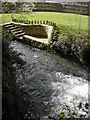 The mill race on the River Cerne, Cerne Abbas in DT2 7JX