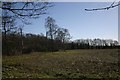 Raydon Common and Plantation in IP22 2JD