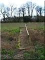 Footbridge near Caldicott's Wood in BN27 4AX