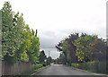 Eau Dyke Road just north of Chapel Lane in Friskney Eaudyke