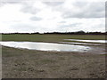 Standing water in wheat field in OX5 2UR