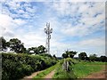 Mobile Telephone Mast, Holywell Lane in CH3 9XR
