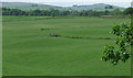 Fields in the Gryfe Valley in PA11 3NL