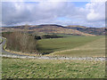 Grazing in the Ettrick Valley in TD7 5HJ
