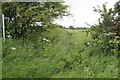 Overgrown footpath entrance in Toft Newton