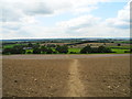 View west from Boar Hill in NG17 8HF