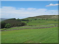 Farmland and woodland south of Ayle Burn in CA9 3NE