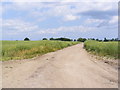 Track to Magna Farm entrance & Lower Hall Farm in Linstead Magna