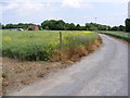 Church Farm entrance & footpath to Magna Farm in Linstead Magna
