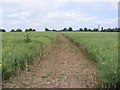 Footpath to Magna Farm in Linstead Magna