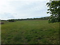 Empty grazing field in SA3 1HA