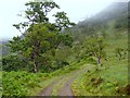 Track towards Dubh Lochain in IV40 8JH