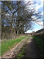 Bridleway T 19/8 in TA3 7BQ