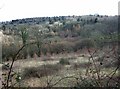 Broughton Brook valley from bridleway below Orchard Wood in TA3 5BN