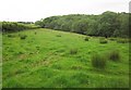 Meadow near Three Gates Cross in TA22 9RT