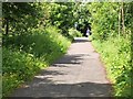 Cyclepath near Dalhousie Chesters in EH19 3QS