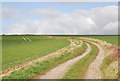 Track across Croucheston Down in SP5 5RF