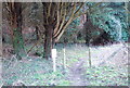 Footpath into the woods in SP3 5PJ