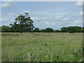 Farmland off Homefarm Lane in Thorney