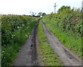 Farm track near Bagworth Road in CV13 0QH