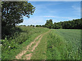 Bridleway to Shalford in CM7 5HU