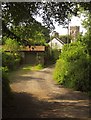 Lane into West Anstey in EX36 3PE