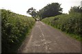 Lane to Cuckoo Farm in EX36 3PJ