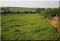 Field on Sing Moor in EX36 3PJ