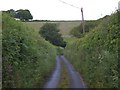 Narrow lane from Bondleigh to North Tawton in EX20 2DB