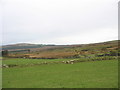 Farmland reclaimed from the bog at Cors-y-wlad Uchaf in LL54 5DN