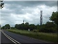 Masts and woodland on Camel Hill by A303 in BA22 7QY