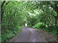 Rural road north of Pen-y-Mynydd in SA17 4AS