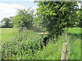 Footbridge over the Ladden Brook in GL12 8PE